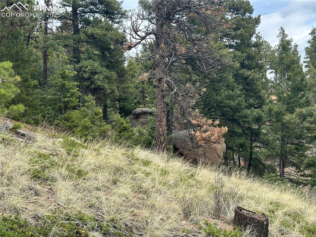 275 Upper Vista Road Manitou Springs CO 80829