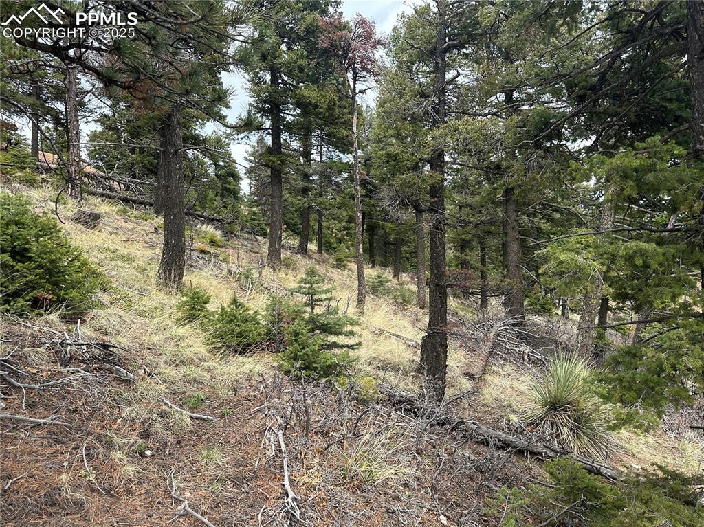 275 Upper Vista Road Manitou Springs CO 80829
