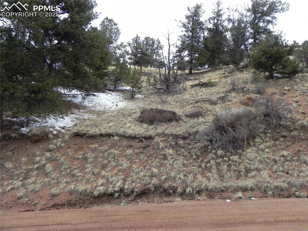 153 Idlewild Drive Cripple Creek CO 80813