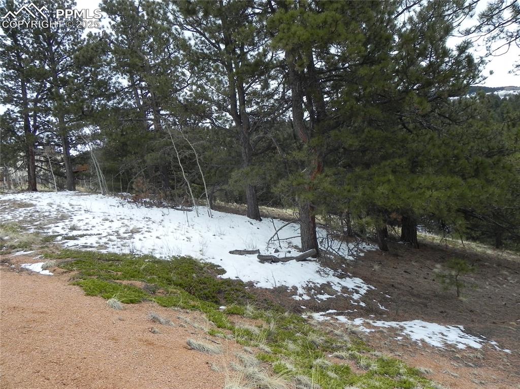 153 Idlewild Drive Cripple Creek CO 80813