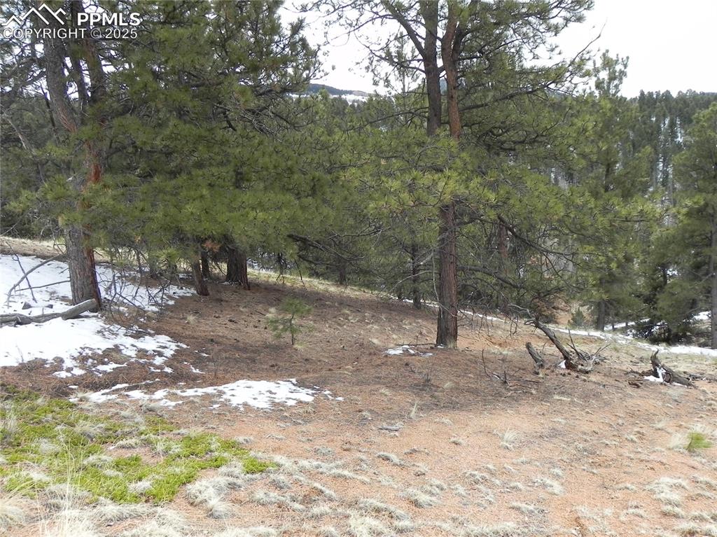 153 Idlewild Drive Cripple Creek CO 80813