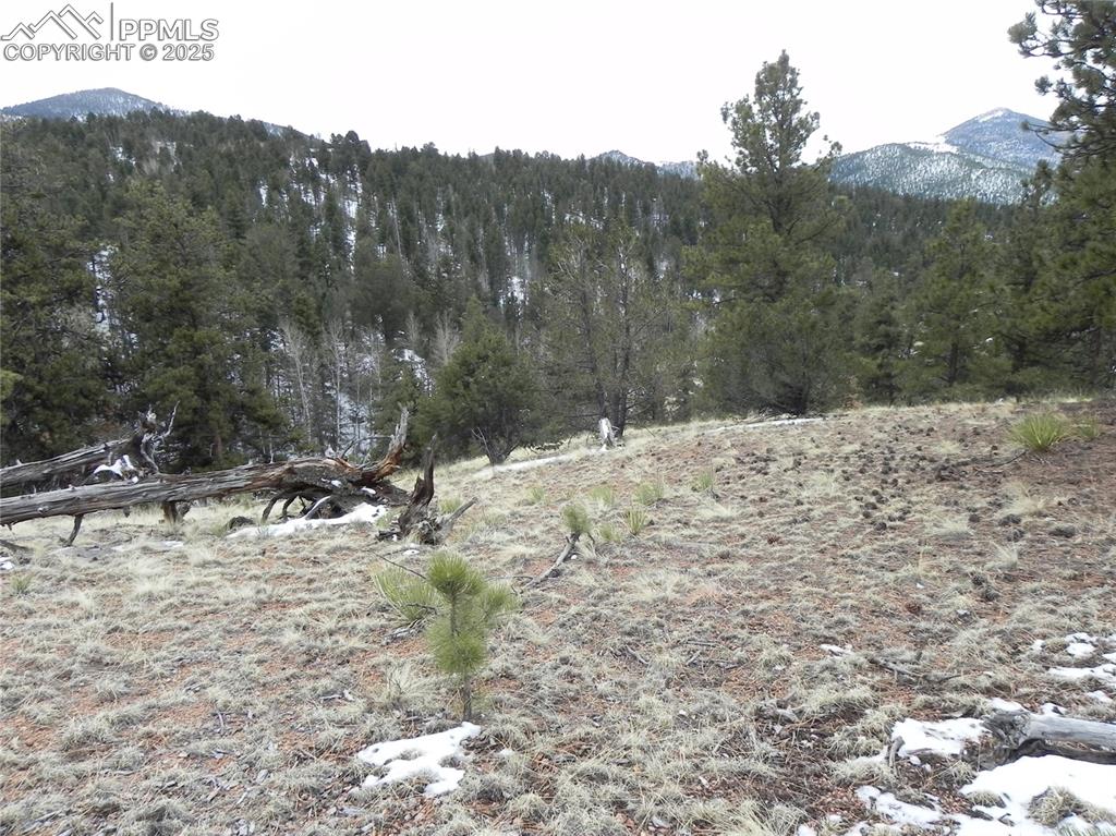 153 Idlewild Drive Cripple Creek CO 80813
