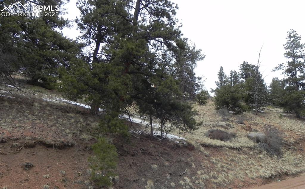 153 Idlewild Drive Cripple Creek CO 80813