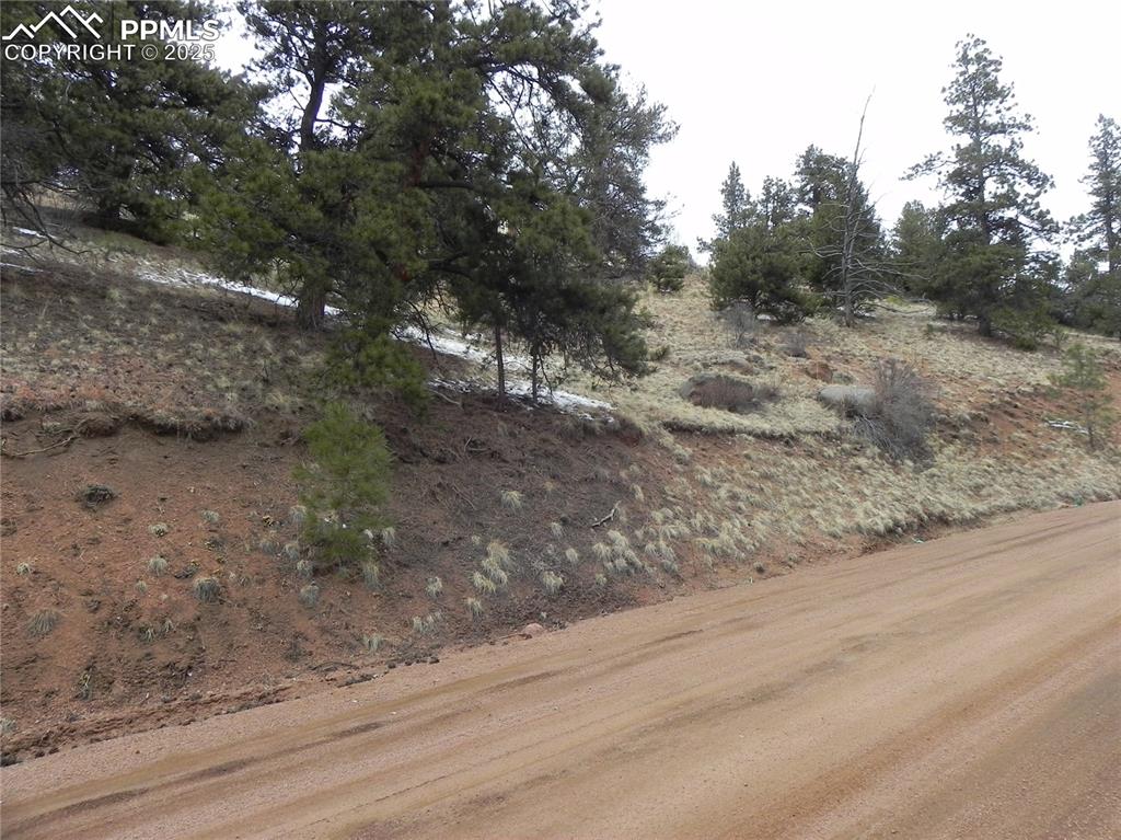 153 Idlewild Drive Cripple Creek CO 80813