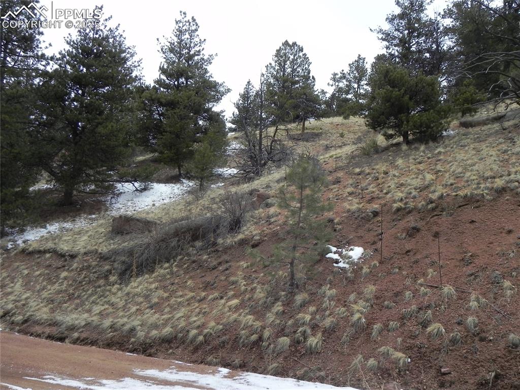 153 Idlewild Drive Cripple Creek CO 80813