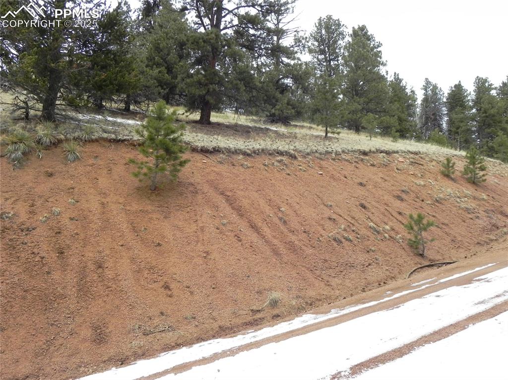 153 Idlewild Drive Cripple Creek CO 80813