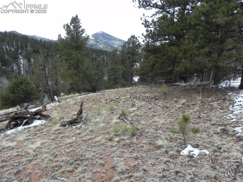 153 Idlewild Drive Cripple Creek CO 80813