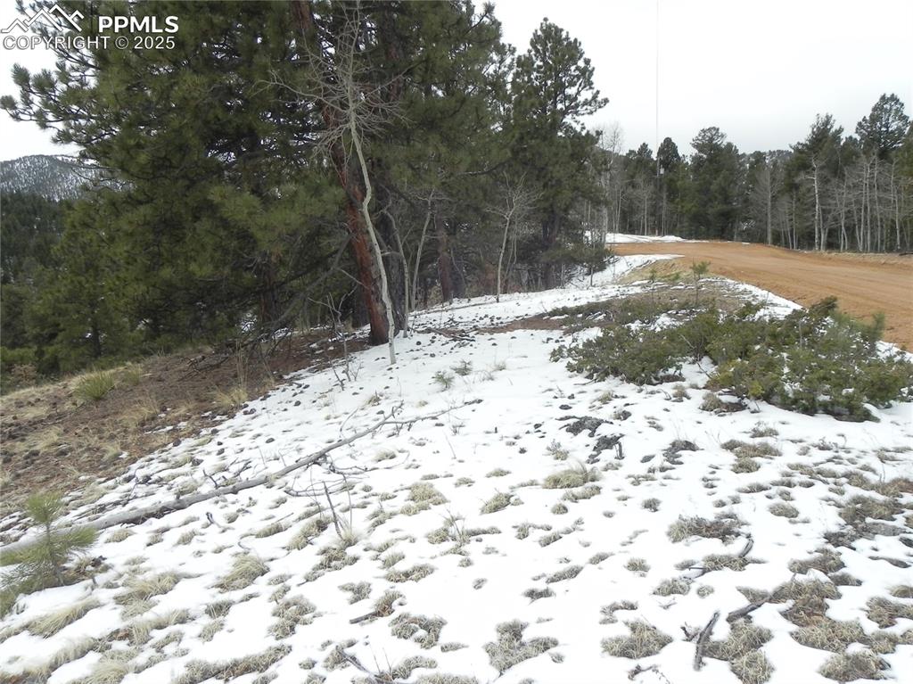 153 Idlewild Drive Cripple Creek CO 80813