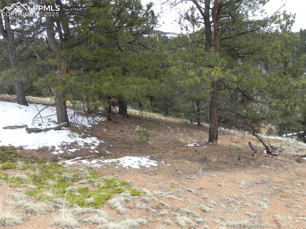 153 Idlewild Drive Cripple Creek CO 80813