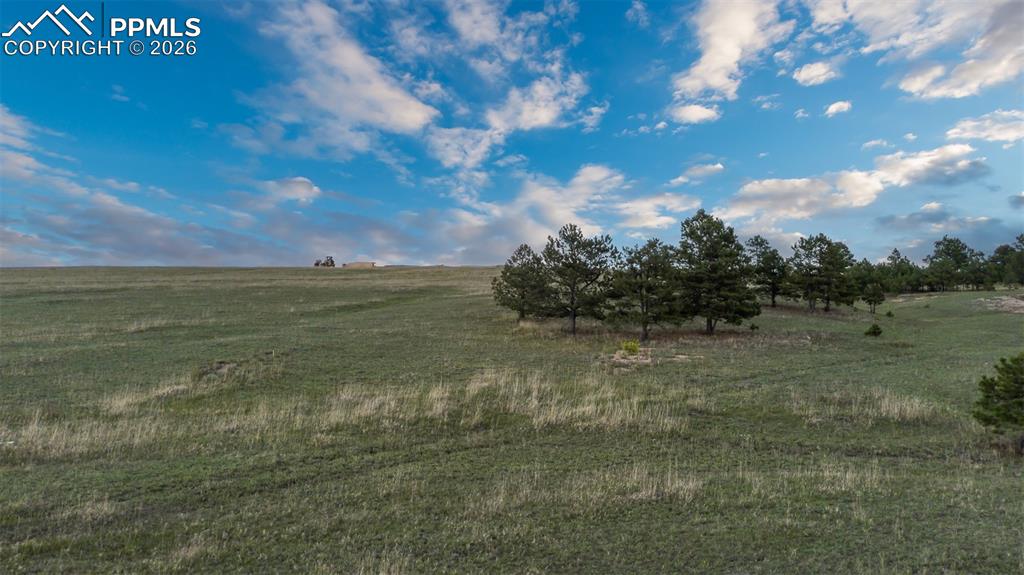 11516 Bison Meadows Court Colorado Springs CO 80908
