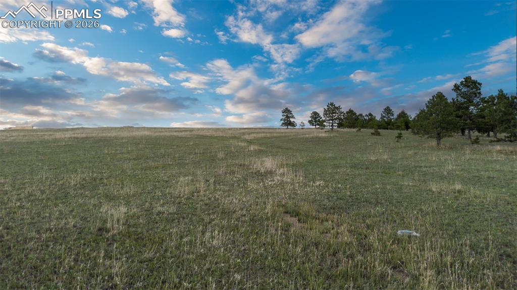 11516 Bison Meadows Court Colorado Springs CO 80908