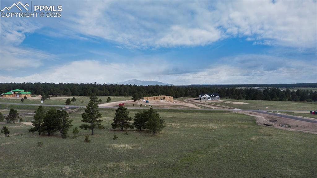 11516 Bison Meadows Court Colorado Springs CO 80908