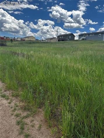 1298 Will Scarlet Drive Divide CO 80814
