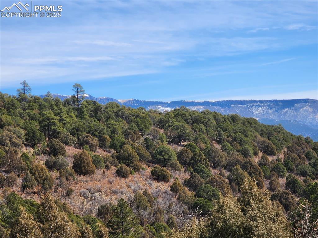 33066 Westwood Drive Trinidad CO 81082