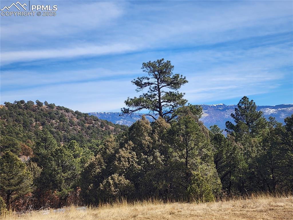 33066 Westwood Drive Trinidad CO 81082