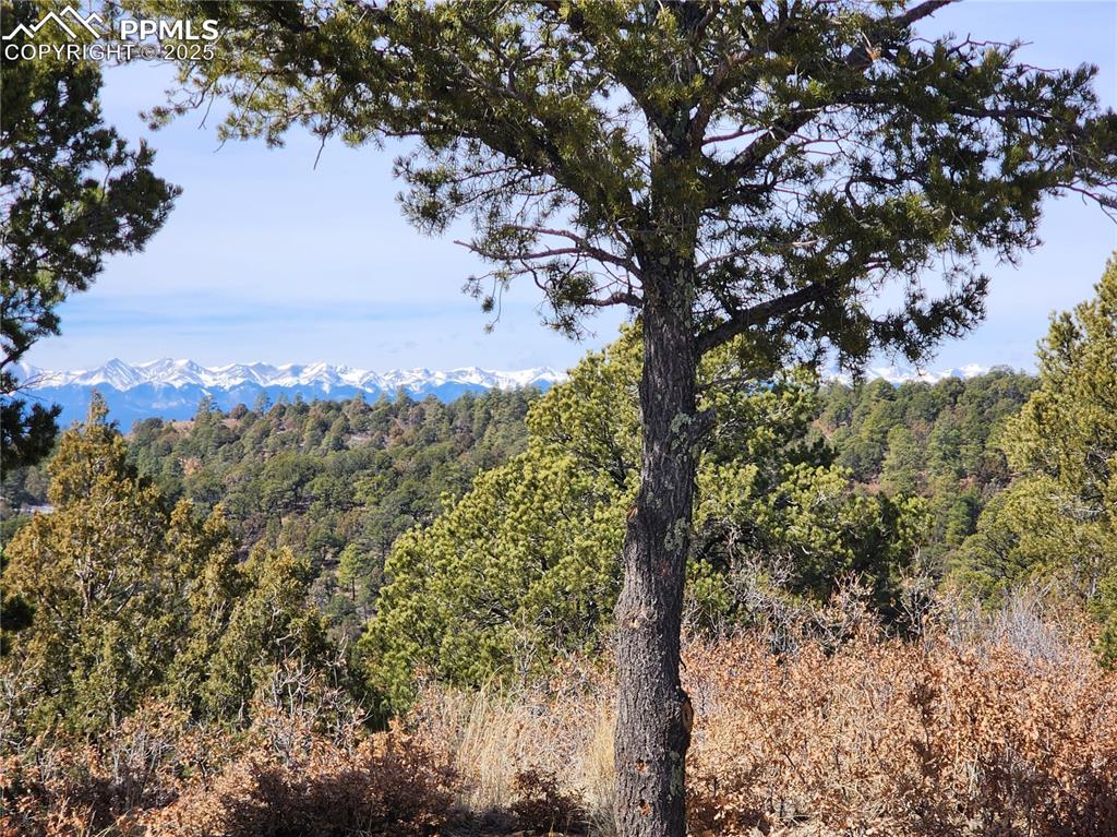 33066 Westwood Drive Trinidad CO 81082