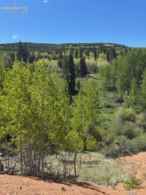 124 Yorktown Road Cripple Creek CO 80813