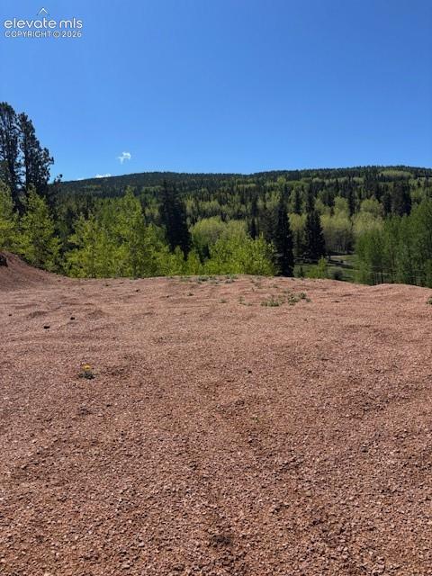124 Yorktown Road Cripple Creek CO 80813