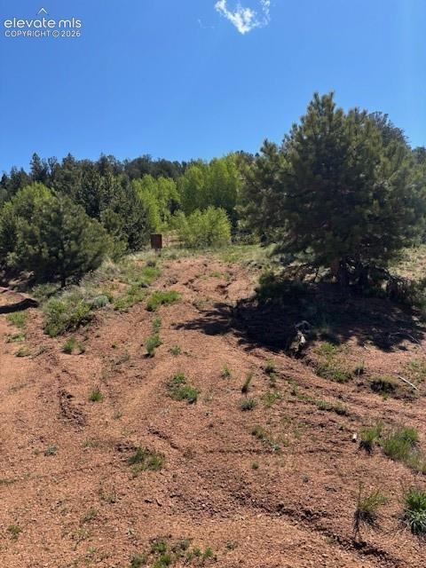 124 Yorktown Road Cripple Creek CO 80813