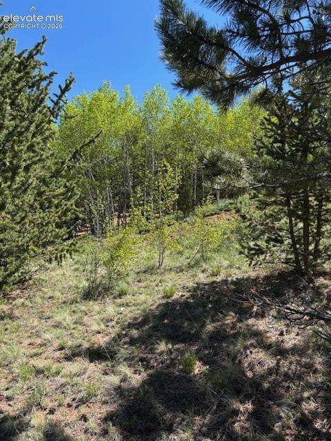 124 Yorktown Road Cripple Creek CO 80813