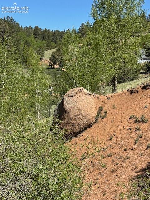 124 Yorktown Road Cripple Creek CO 80813