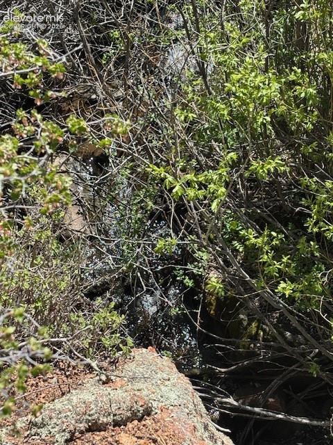 124 Yorktown Road Cripple Creek CO 80813