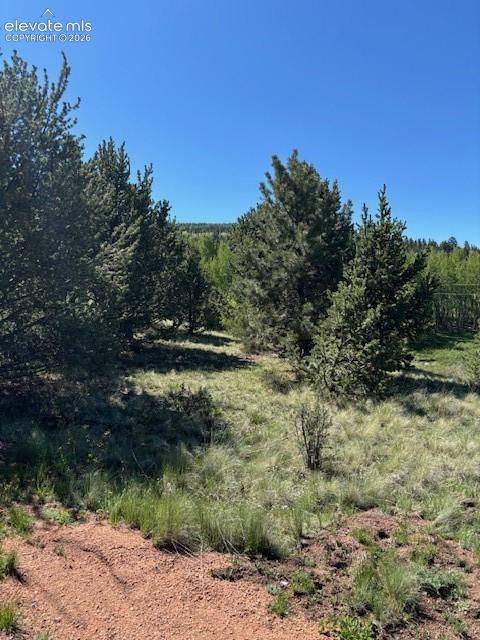 124 Yorktown Road Cripple Creek CO 80813