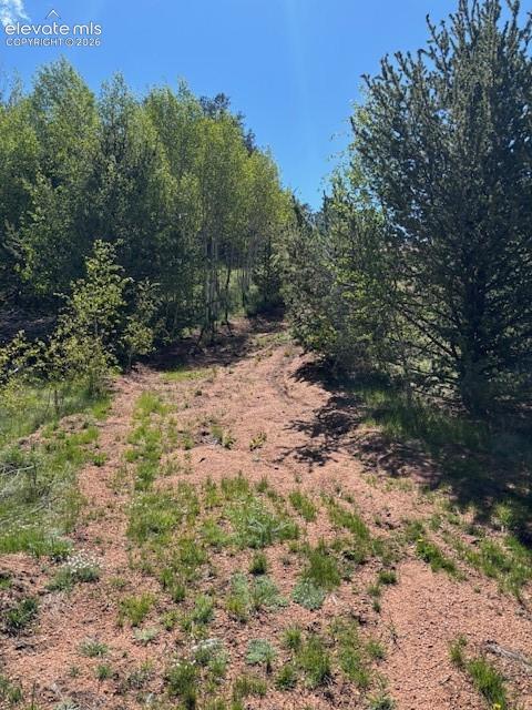 124 Yorktown Road Cripple Creek CO 80813