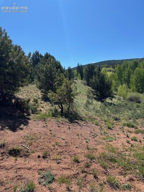 124 Yorktown Road Cripple Creek CO 80813