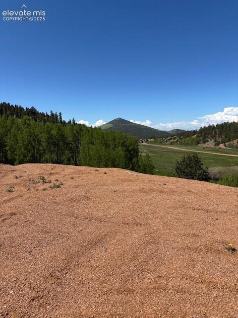 124 Yorktown Road Cripple Creek CO 80813