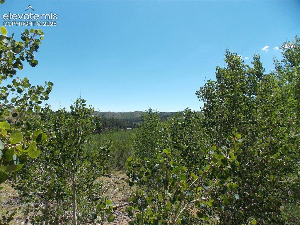 615 Valley Drive Florissant CO 80816