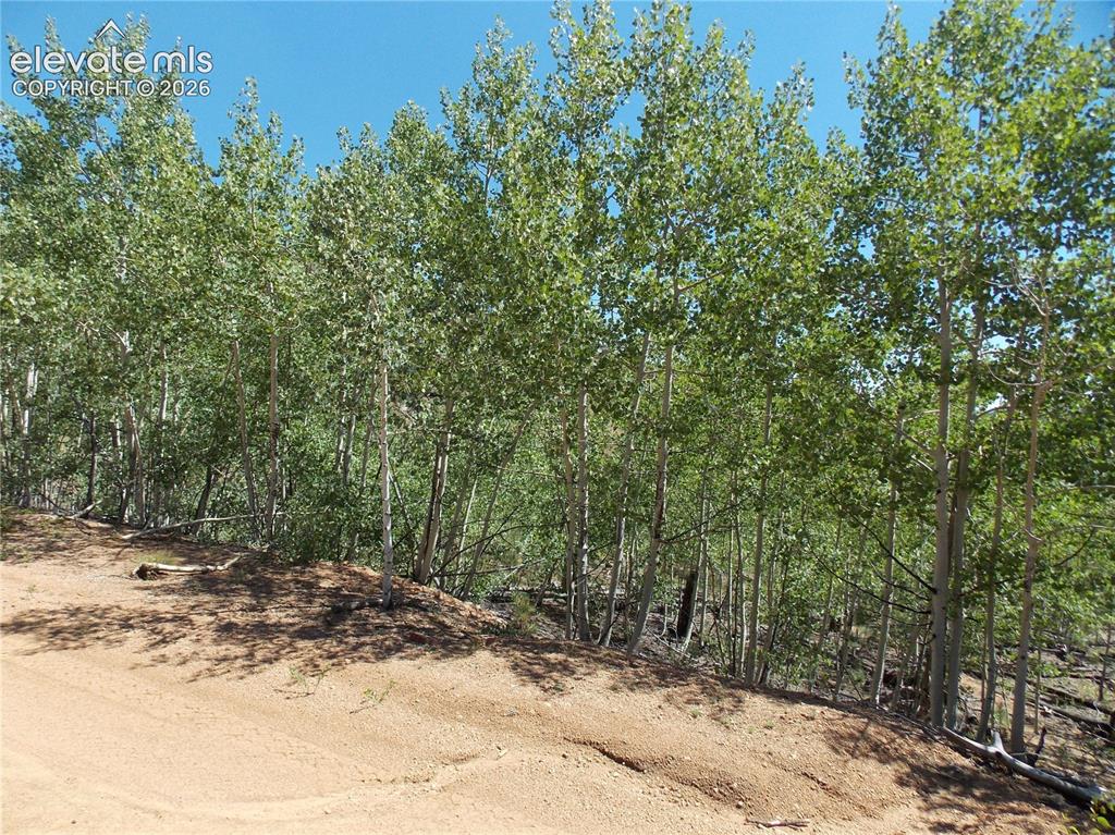 615 Valley Drive Florissant CO 80816