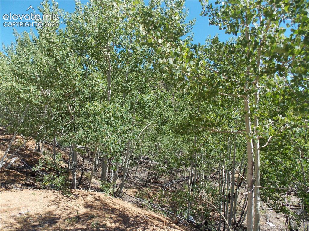 615 Valley Drive Florissant CO 80816