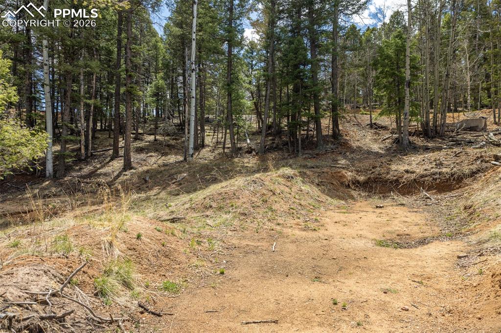 714 Will Stutley Drive Divide CO 80814