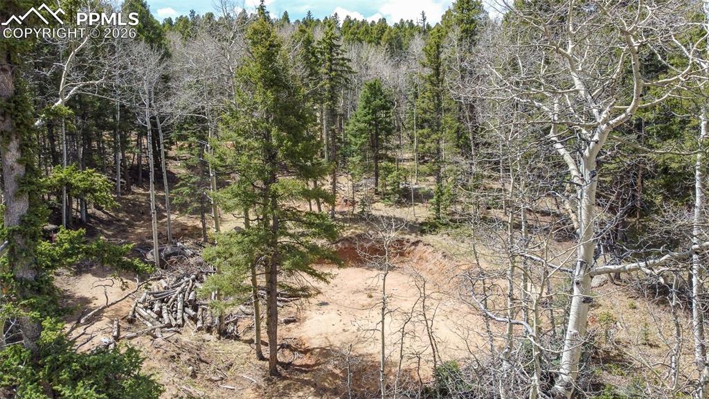 714 Will Stutley Drive Divide CO 80814