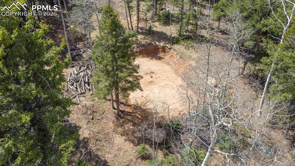 714 Will Stutley Drive Divide CO 80814