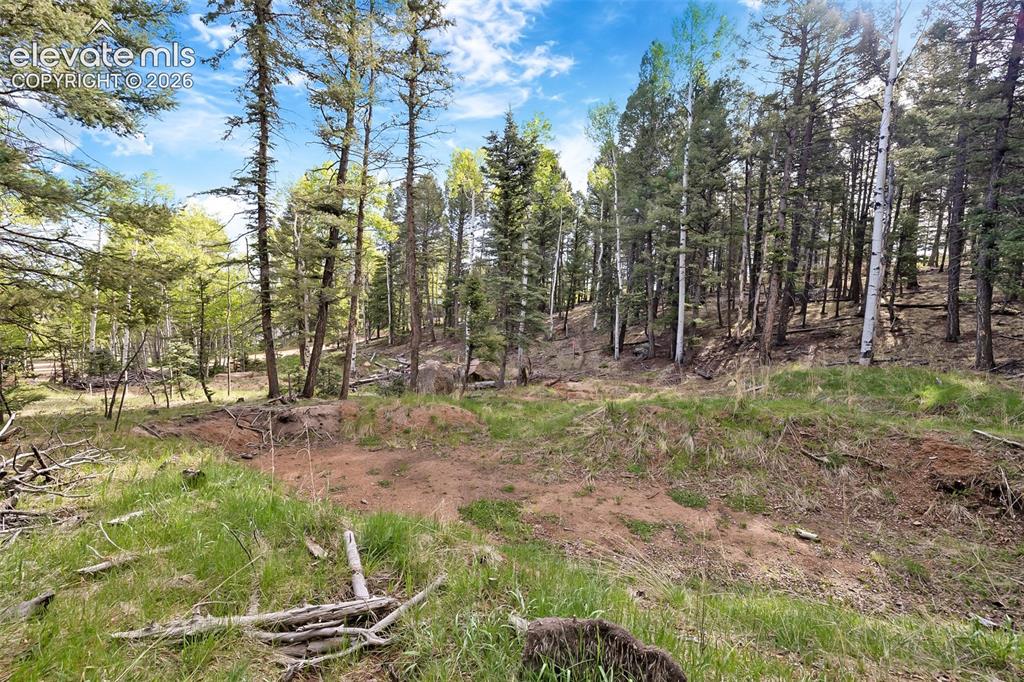 714 Will Stutley Drive Divide CO 80814