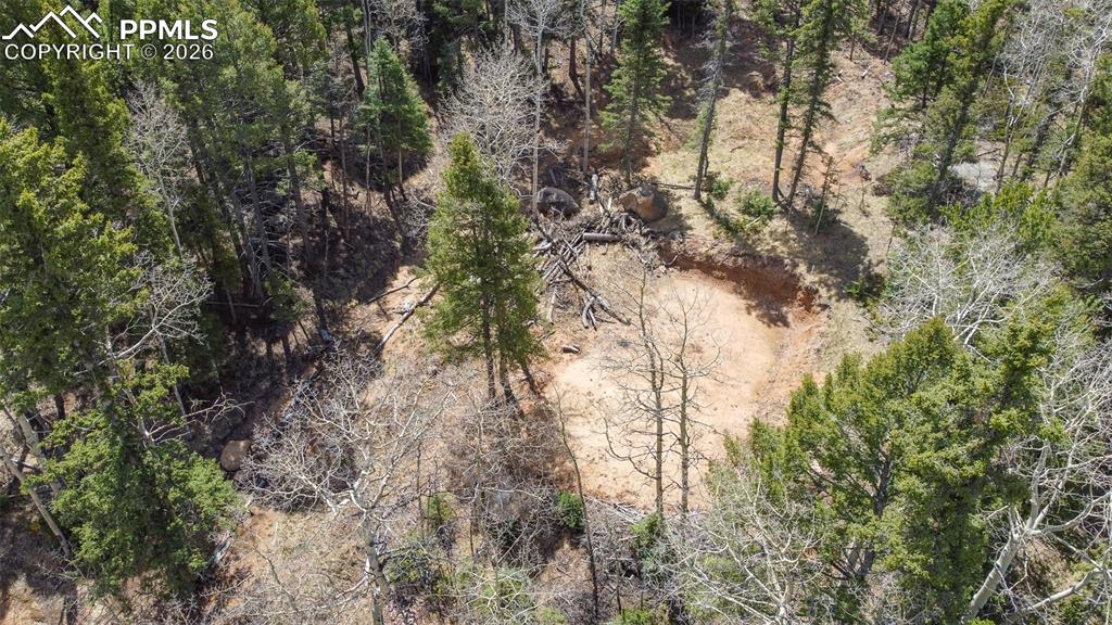714 Will Stutley Drive Divide CO 80814