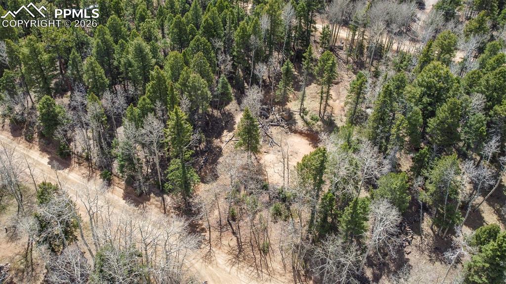 714 Will Stutley Drive Divide CO 80814