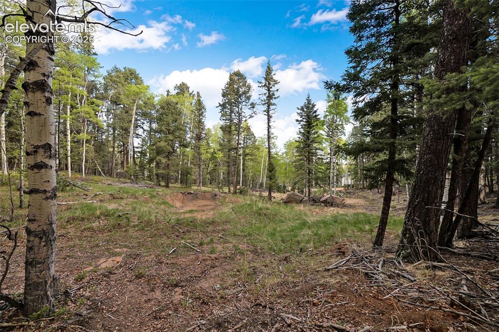 714 Will Stutley Drive Divide CO 80814