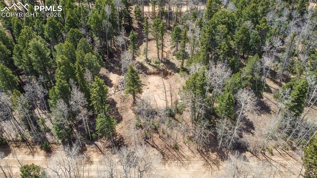 714 Will Stutley Drive Divide CO 80814