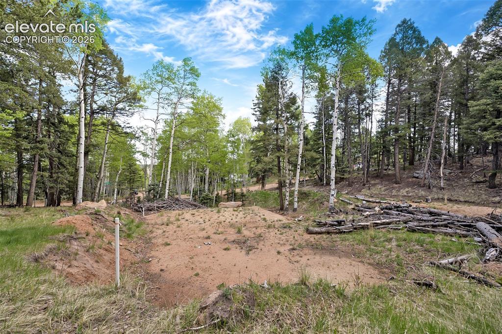 714 Will Stutley Drive Divide CO 80814