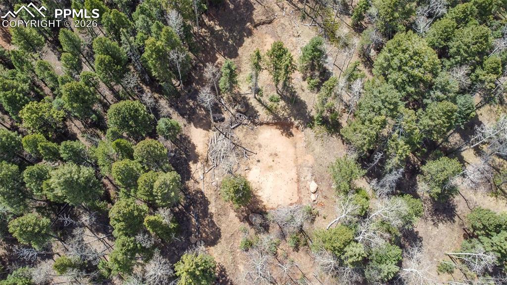 714 Will Stutley Drive Divide CO 80814