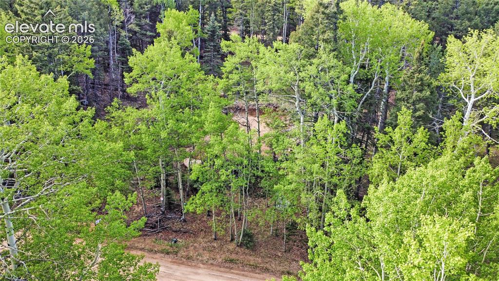 714 Will Stutley Drive Divide CO 80814