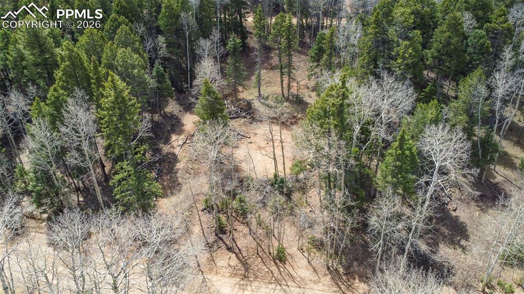 714 Will Stutley Drive Divide CO 80814