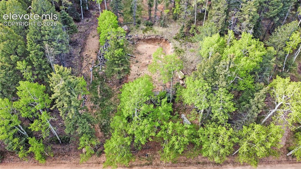 714 Will Stutley Drive Divide CO 80814