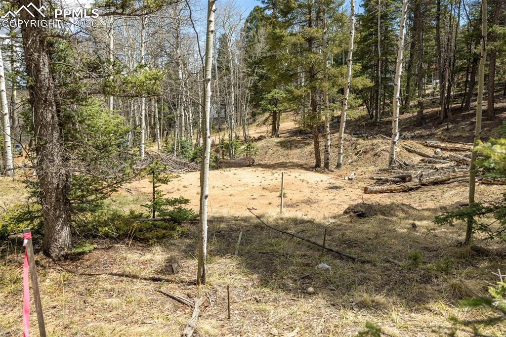 714 Will Stutley Drive Divide CO 80814