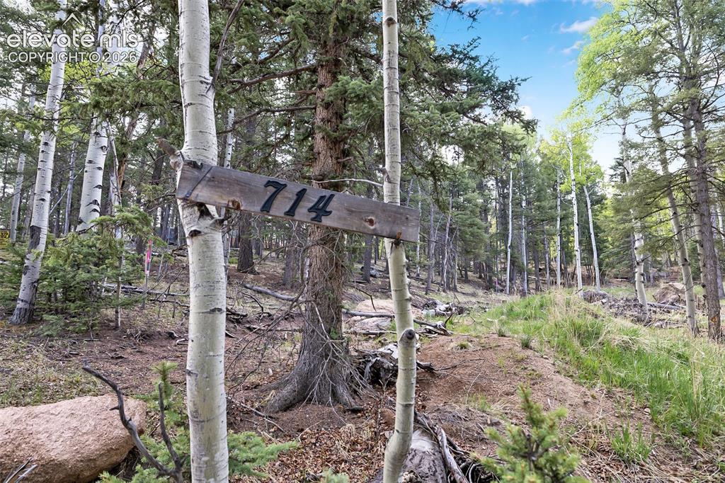 714 Will Stutley Drive Divide CO 80814