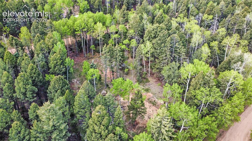 714 Will Stutley Drive Divide CO 80814