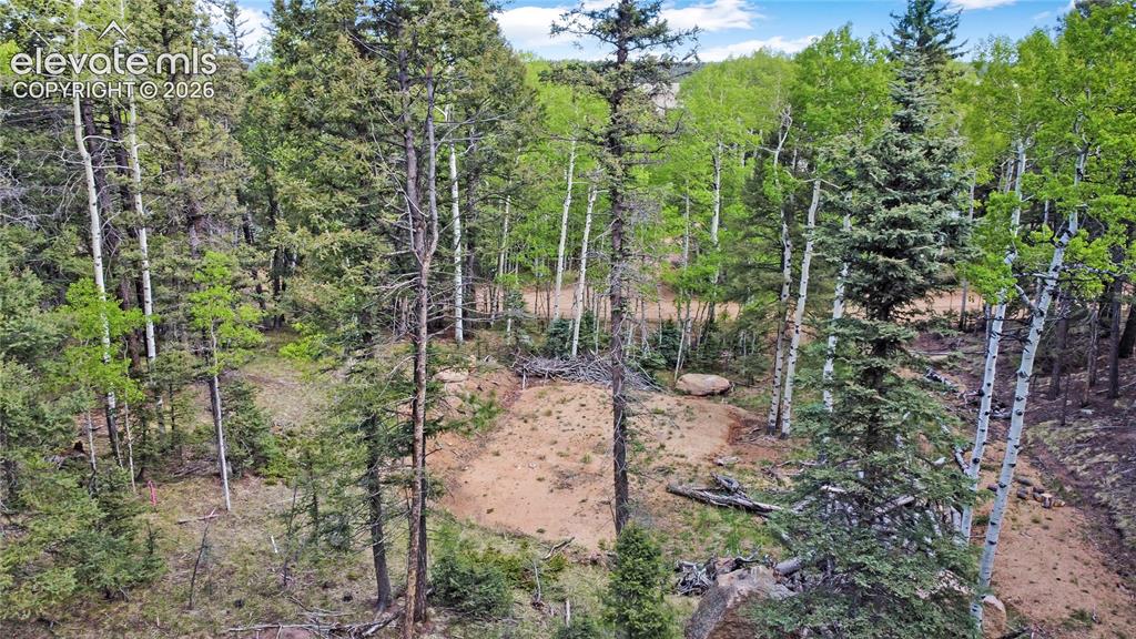714 Will Stutley Drive Divide CO 80814